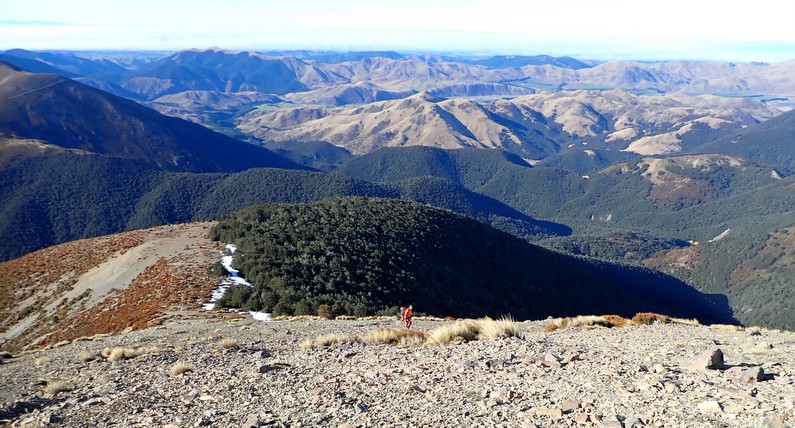 Canyon teams searching from the tops into the gullies courtesy Nola Collie